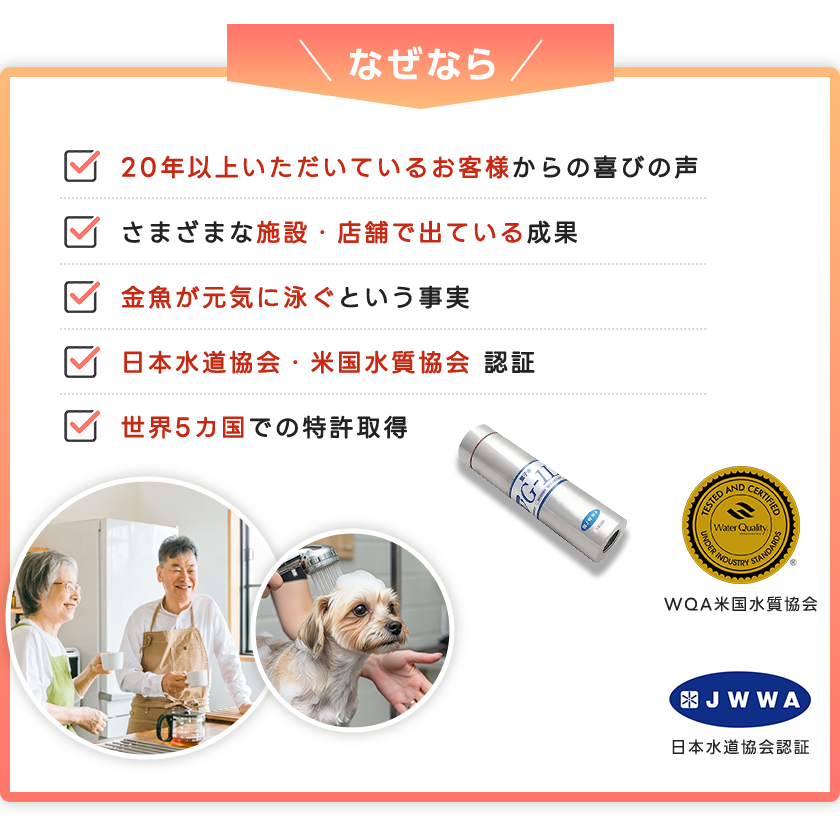 なぜなら