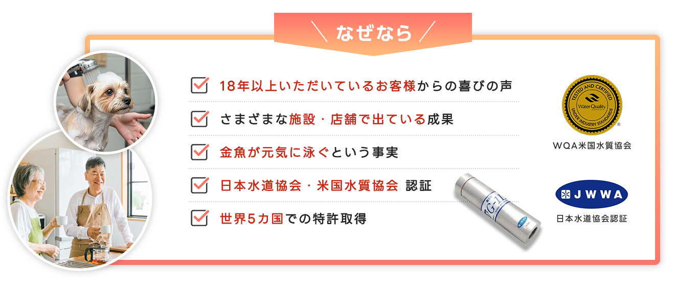 なぜなら